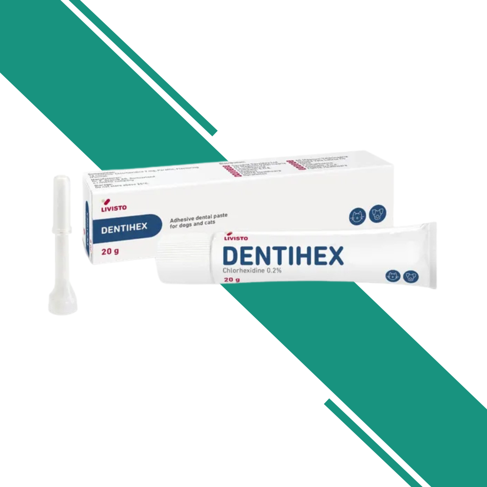 Dentihex Dental Adhesive Paste for Dogs and Cats – 20g